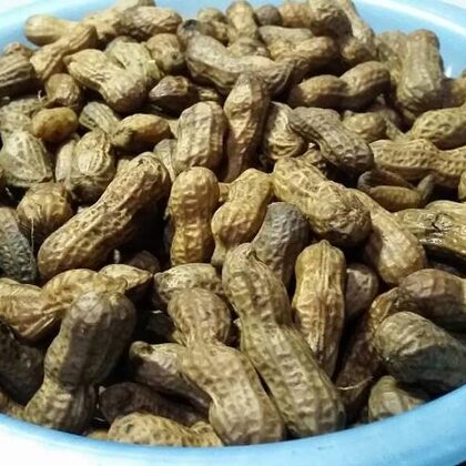 Boiled Peanuts